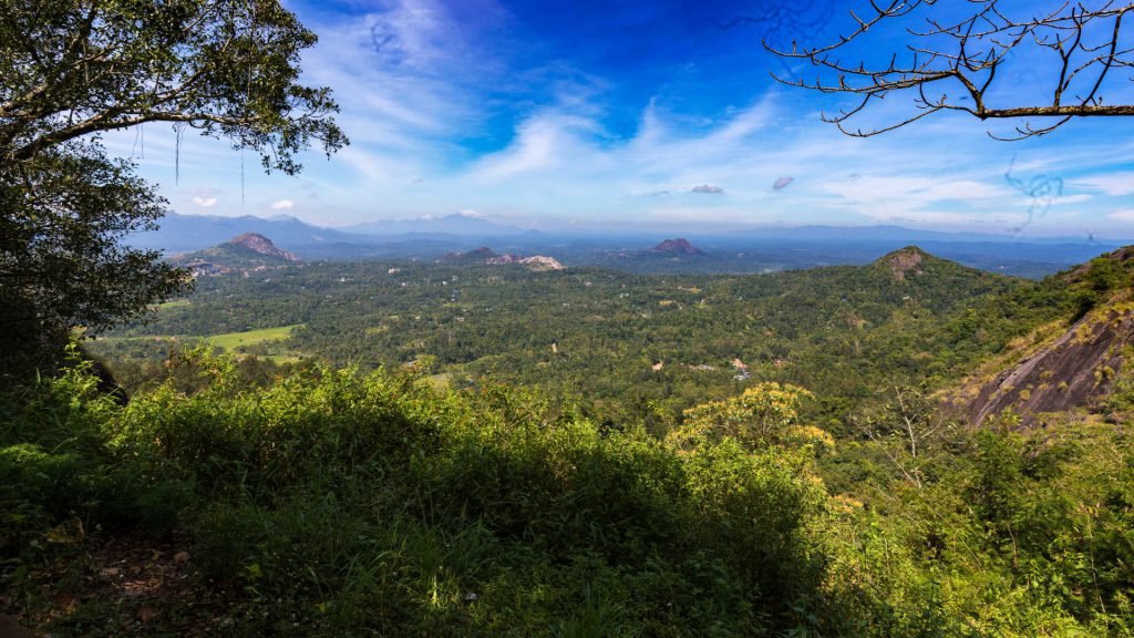 wayanad tour packages